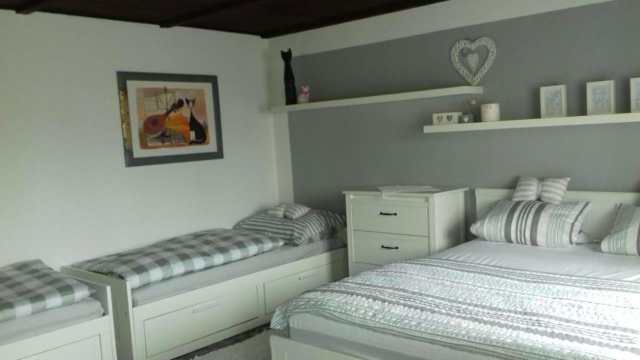Apartmany Na Hline Třeboň Eksteriør billede