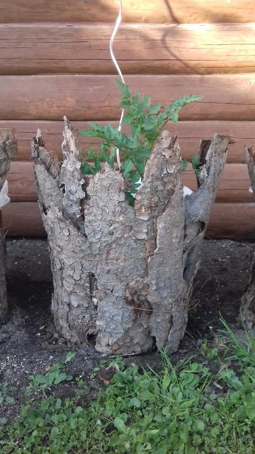 Apartmany Na Hline Třeboň Eksteriør billede